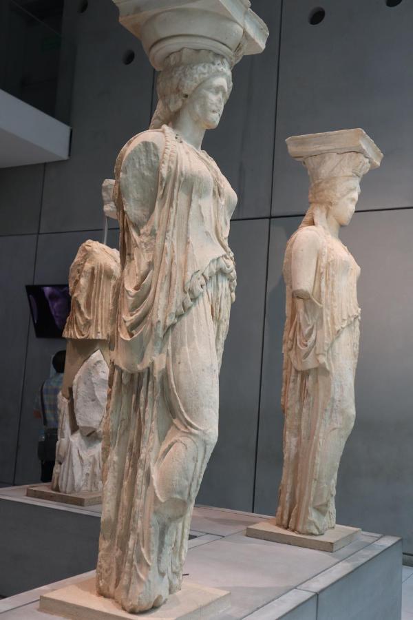 Mandevilia * Athens